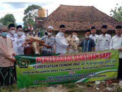 Berdayakan Ekonomi Umat, Kemenag Bantu Tiga Ekor Sapi