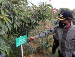 Bangun Pariwisata, Wabup: Perlu Kolaborasi Bersama