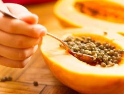 Biji Buah Pepaya Ternyata Bisa Dimakan, Apa Saja Manfaatnya?