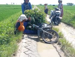 Jalan Rusak Parah, Warga Mengeluh Minta Diperbaiki