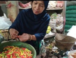 Pasca Nataru, Harga Cabe Rawit di Lamongan Turun, Tomat Naik Harga