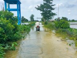 Sempat Surut, Luapan Bengawan Njero Naik setelah Hujan Kembali Datang