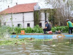 Bupati Terjun Ikut Bersihkan Eceng Gondok di Aliran Sungai Bengawan Njero