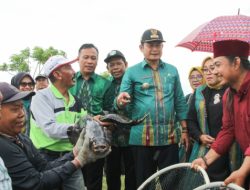 Kunjungi Kampung Kerapu Desa Labuhan, Yuhronur Bersyukur Bisa Bawa Kesejahteraan
