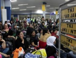 Bermain Politik, Dibanding Jumhur, TKI Meninggal Zaman Benny Rhamdani Naik 3 Kali Lipat