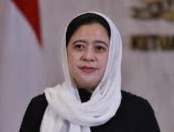 Jadi yang Pertama Dukung Puan-Yusril, Farhat: Partai Pandai segera Gelar Deklarasi