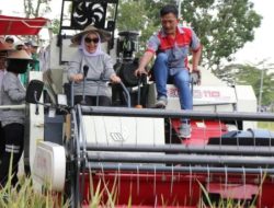 Panen Raya, Bupati Bojonegoro Ngreyen Bantuan Alsintan Berupa Combine Harvester