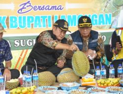 Durian Tingkatkan Ekonomi Masyarakat, Bupati Canangkan Sugihan Jadi Desa Agrowisata