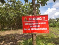 Dilarang Gunakan Pupuk Bersubsidi, Ratusan Petani Hutan Bojonegoro Resah