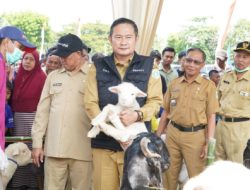 Sentra Ternak Tunggul Dukung Potensi Ternak Wilayah Utara Lamongan