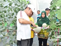 Jadi Lumbung Pangan, Lamongan Terus Lakukan Diversifikasi Tanaman Hortikultura