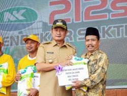 Penuhi Kebutuhan Komoditas Pasar, Solokuro Jadi Sentra Jagung Lamongan