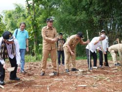 Siapkan Kedaulatan Pangan, Wamentan dan Bupati Tanam Jagung di Lamongan