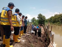 Curah Hujan Tinggi, Tanggul Jebol, Bupati Lamongan: Segera Dibangun yang Permanen