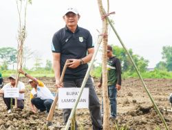 Ciptakan Ruang Publik Kedua, Bupati Lamongan Hijaukan Kawasan Gajah Mada
