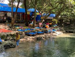 Berwisata ke Bojonegoro, Belum Lengkap Jika Tidak Berkunjung ke Sendang Grogoland