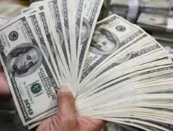 Kurs Rupiah Sentuh Rp 16.337, Ekonomi Indonesia dalam Bahaya