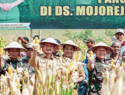 Kunjungi Lamongan, Bersama Bupati Yuhronur, Pangdam V Brawijaya Panen Jagung