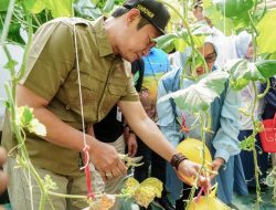 Jaga Ketahanan Pangan, Lamongan Regenerasi Petani melalui Greenhouse Eco Pilar Hijau