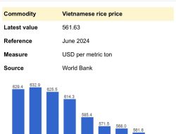 Negara Rugi Rp 8,5 Triliun, Pengamat Ekonomi Minta KPK Serius Usut Mark-Up Impor Beras