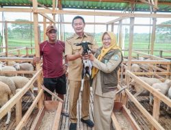 Bupati Yuhronur Terus Pacu Potensi Peternakan Lamongan untuk Jadi Unggulan