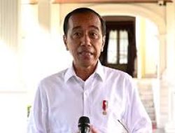 Sikapi Polemik Syarat Cakada, Jokowi Hormati Putusan MK dan Revisi UU di DPR