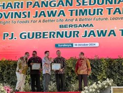 OKKP-D Tuban Terima Penghargaan Predikat Sangat Baik dari Badan Pangan Nasional