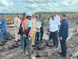 Soal Cetak Sawah di Merauke, PEPS Pertanyakan Status Haji Isam Kerahkan 2000 Ekskavator