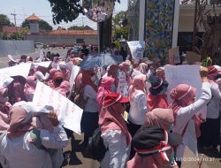 Terima Gaji Rp 300 Ribu, Ratusan Guru Lolos Passing Grade Demo Tuntut Diangkat Jadi P3K