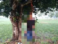 Bikin Geger Kampung, Warga Demit Ditemukan Tewas Tergantung di Pohon Angker
