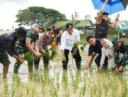 Bentuk Satgas Bernama Sego Boran, Lamongan Perkuat Swasembada Pangan