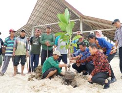 Pohon Keben dan Lempeni Lengkapi Penghijauan di Kagama Lamongan