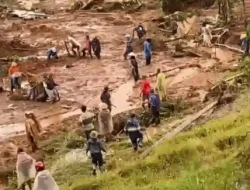Temukan 2 Jasad, 24 Korban Bencana Longsor di Petungkriyono, Pekalongan