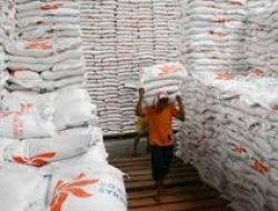 Serap Gabah Petani, Bulog Bojonegoro Beli dengan HPP Rp 6.500 Per Kg