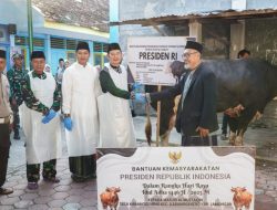 Bupati Yes Serahkan Sapi Kurban Bantuan Presiden ke Masjid Al Muttaqin