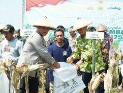 Pakan Ternak Terbesar se-Asia Tenggara akan Dibangun di Lamongan