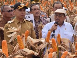 Kunjungi Lamongan, Babe Haikal Tegaskan Jagung PRG Dijamin Halal