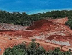Setelah IUP Dicabut, DPR Minta Negara Harus Cari Dalang Pemberi Izin