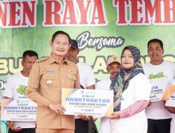 Tertantang Iklim, Bupati Yes Apresiasi Panen Raya Tembakau di Sambeng