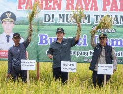Panen Raya Ketiga di Lamongan Berhasil dan Tembus Harga Tinggi