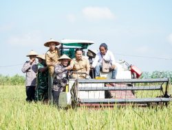 Luas Tambah Tanam di Lamongan Lampaui Target Nasional