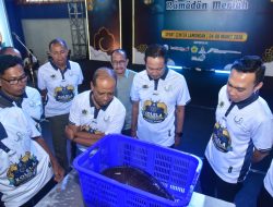 Perkuat Ekonomi Daerah, Kontes Lele Lamongan, Juara Seberat 10.220 Kg