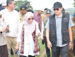Atasi Kekeringan, Ikhtiar Lamongan Pertahankan Swasembada Pangan