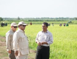 Cadangan Beras Tembus 5 Juta Ton, DPR: Bukti Negara Serius Urus Pangan