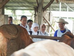 Lamongan Masih yang Terbesar, Bupati Yes: Ketersediaan Sapi di Jatim
