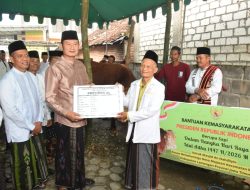 Diserahkan Bupati, Sapi Kurban Presiden Disembelih di Mantup