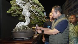 Gelar Pemeran dan Kontes Bonsai Nasional, Lamongan Diapresiasi