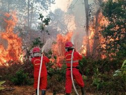 Polri Tetapkan 72 Tersangka Kasus Karhutla di Sembilan Polda