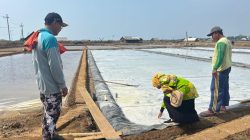 Produksi Garam Lamongan Optimistis Capai Target pada Tribulan IV