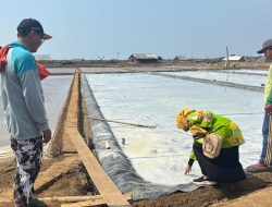 Produksi Garam Lamongan Optimistis Capai Target pada Tribulan IV